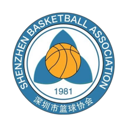 粤BA深圳队